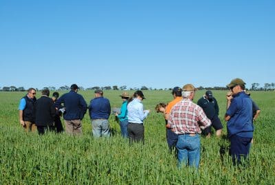 The annual GRDC Western Regional Panel spring tours give growers a chance to speak face-to-face with GRDC representatives.