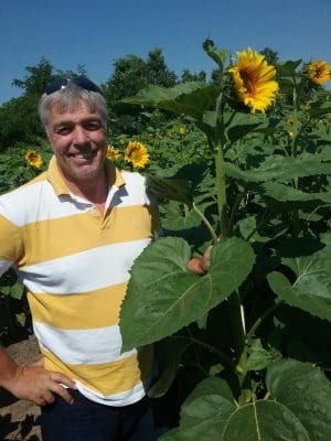 Lawrence Richmond Ukraine Sunflower