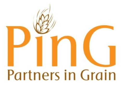 PinG logo