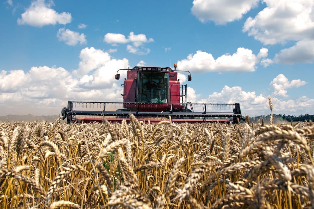 Combine harvests wheat in Kharkiv Oblast, Ukraine.