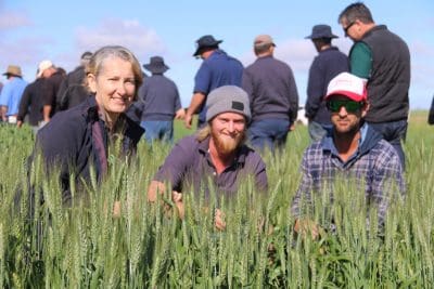 DAFWA’s Christine Zaicou-Kunesch with growers Tim Cream and Matt Morris, inspecting a dwarf wheat trial at the recent Mullewa Dryland Farming Initiative field day. 