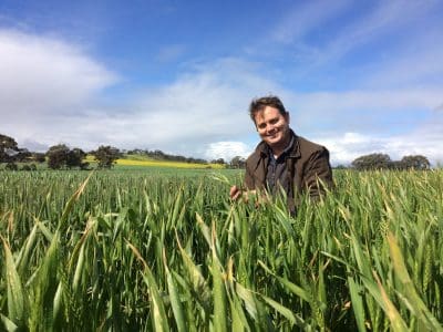 DAFWA researcher Ben Biddulph encourages growers to monitor crops following any frost events. Photo: Sarah Jackson, DAFWA.