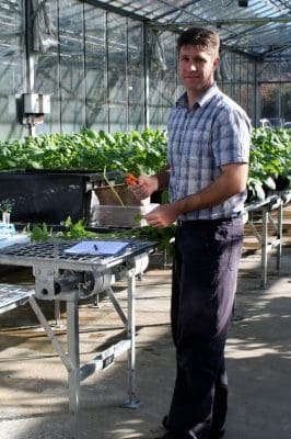 Researcher Mike Ashworth says a CCDM project has quantified how much time and heat is required to kill fungal pathogens on wheat stubble.