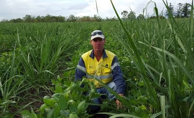 North Queensland farmer, Simon Mattsson, believes farmers need to look to plant diversity to build soil health.