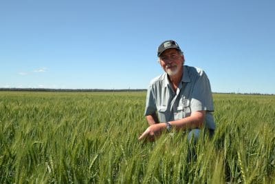 GRDC northern panellist, Dr Neil Fettell, NSW, says research is showing that yield value that can be derived from sowing early into long fallow country with slow developing cultivars.