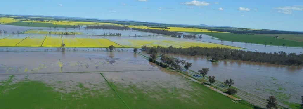 Flood-affected cropping paddocks near Forbes in central west NSW. Source: Forbes Shire Council.