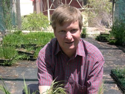Dr Chris Preston says sowthistle, feathertop Rhodes grass and windmill grass are of concern in all Australian grain growing regions, not just the Northern region. Photo: Jenny Barker.
