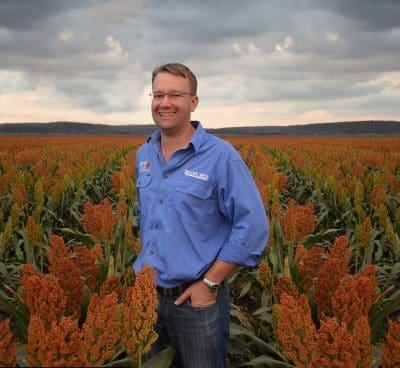 Advanta Seeds sorghum business manager, Andrew Short, says the area sown to sorghum is expected to be significantly down this summer.