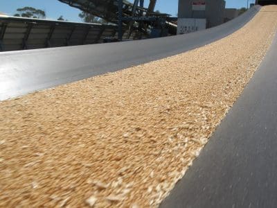 The FAO has lifted its world cereal production forecast for 2016 to 2,566 million tonnes.