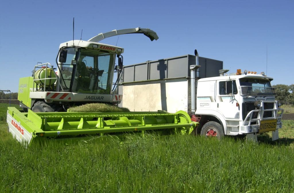 Winter silage harvest