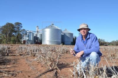 New GRDC chair, John Woods, on his farm at Boggabilla in northern NSW.
