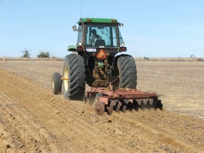 Tillage treatment plots at Buntine, WA. Photo: Debra Donovan.