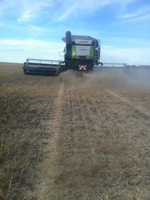 Material from a chaff deck laid out on tramlines.