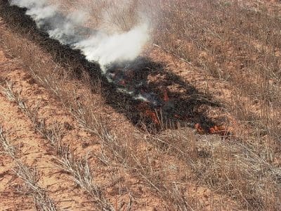 Narrow windrow burning.