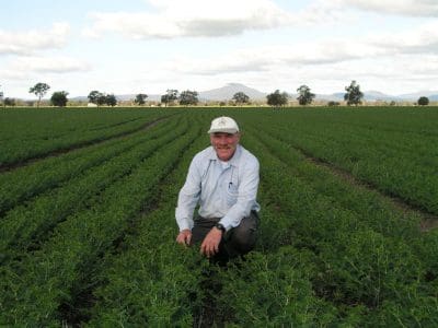 NSW DPI senior plant pathologist Kevin Moore said wet, cool conditions during the growing season meant chickpea crops were now 3-6 weeks behind where they should be in terms of pod set and harvest, so most growers were still in disease management mode.