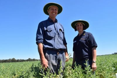 Darling Downs farmer, Wade Bidstrup, Warra, and QDAF senior plant breeder, Merrill Ryan, in a trial planting of Seamer chickpeas.