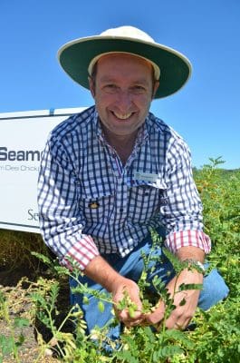 QDAF senior extension agronomist, Kerry McKenzie.