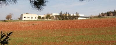 ICARDA's facility at Aleppo is still functional, maintained by local staff in caretaker mode under difficult conditions.