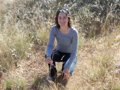 DAFWA researcher Catherine Borger counting windmill grass seeds as part of a survey to provide detailed information about emerging summer weed species and herbicide resistance. Photo: Dave Nicholson, DAFWA.