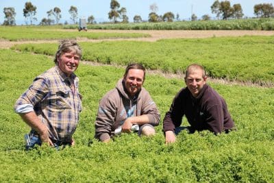 Wimmera farmers John and Scott Arnold with Agriculture Victoria pulse agronomist Dr Jason Brand.