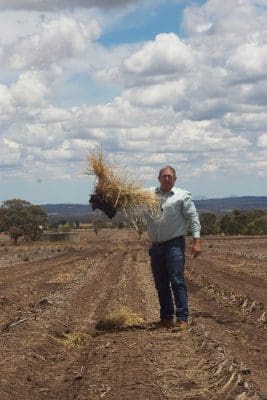 NSW DPI weeds technical specialist, Tony Cook, has documented the strategies used on four farms to successfully patch-manage resistant weeds using a variety of weed control tactics over a period of at least five years.
