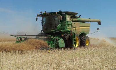 Australia is on track to produce between 3.4 and 3.6 million tonnes of canola this season.