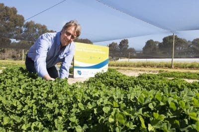 seed-vault-darryl-mcclements-australian-pastures-genebank