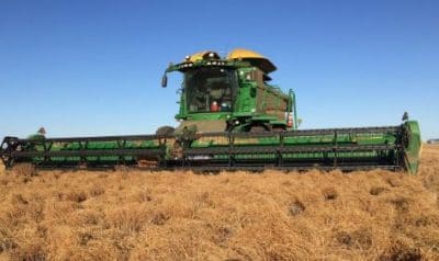The lentil harvest in South Australia is producing heavy crops, some more than 3t/ha.