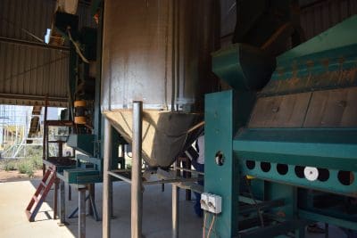 The farmer-owned seed grading plant at Emerald in Central Queensland.