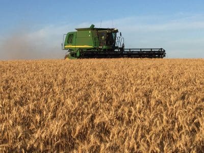 Australia's winter crop is set to hit a record 52.4 million tonnes.