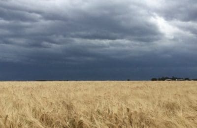 Australia's weather outlook has defaulted to neutral, with the likelihood of a warmer and drier start to summer.