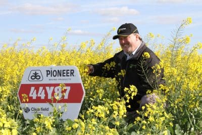 Kevin Morthorpe, GenTech Seeds, is concerned that canola growers are relying too heavily on the less competitive triazine-tolerant (TT) cultivars and missing out on the higher yield and better weed control benefits of hybrid canola systems. 