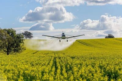 Nichola Boyd's first placed snap of crop dusting canola.