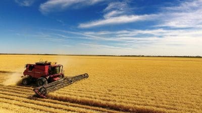 Cameron Moon’s third placed photo of harvest under the hot sun.