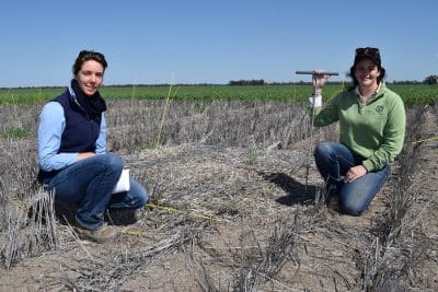 Northern Grower Alliance chief communications officer, Rachel Norton, and trials agronomist, Denielle Kilby, at the stubble trial site near Mungindi.