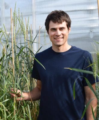 WSU graduate research assistant Colin Curwen-McAdams with ×Tritipyrum aaseae. (Photo: WSU)