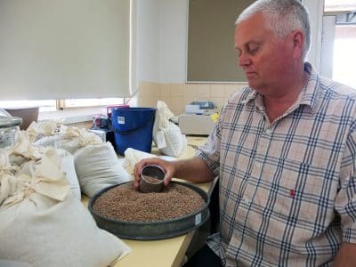 Mark Seymour with lentil seed.