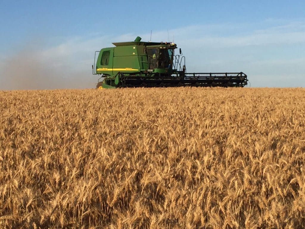 The eastern winter crop harvest is all but done and dusted with harvesters only days away from taking off the last of the crops in the far south.