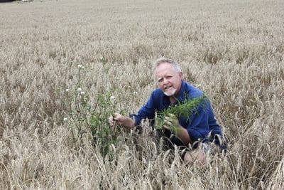 Agronomo agronomist, Andrew Storrie, says growers need to look for the Archilles Heel of hard to kill weeds like sowthistle, flaxleaf fleabane and feathertop Rhodes grass.