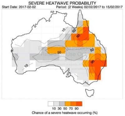 POAMAs experimental severe heat model shows a high probability of extreme heat to 15 February. Source: http://poama.bom.gov.au/