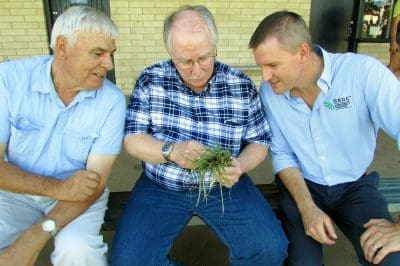 Inspecting RWA in volunteer barley following the forum in Riverton, SA, are Mallala grower Paul Angus), Dr Frank Peairs from Colorado State University, and GRDC southern regional manager grower services, Craig Ruchs.