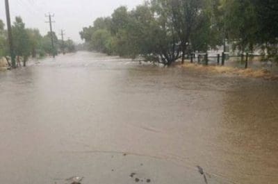 While most of Australia sweltered under heat wave conditions last weekend, much of WA's wheatbelt was inundated with heavy rain and flooding.
