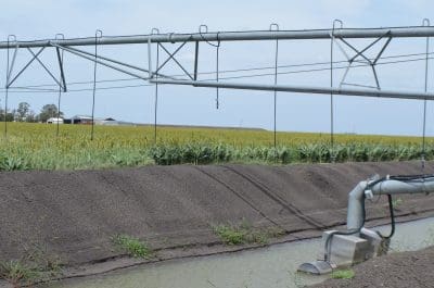 Irrigation 003