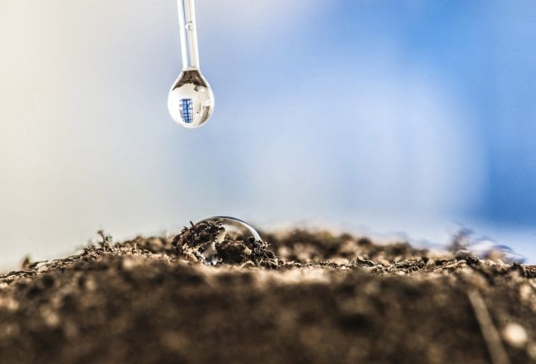 Old root pathways increase water infiltration Grain Central