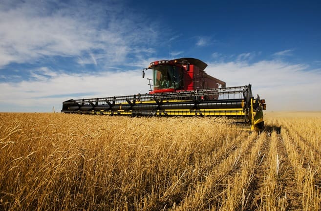 Fewer, farms as consolidation continues in Australian grain -