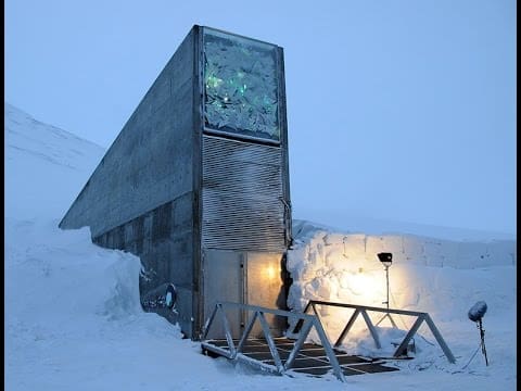 Australian Agricultural Seeds Destined For Norway S Doomsday Vault Grain Central