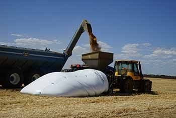 Grain farmers resort to giant storage bags to avoid cheap sales - Brainerd  Dispatch