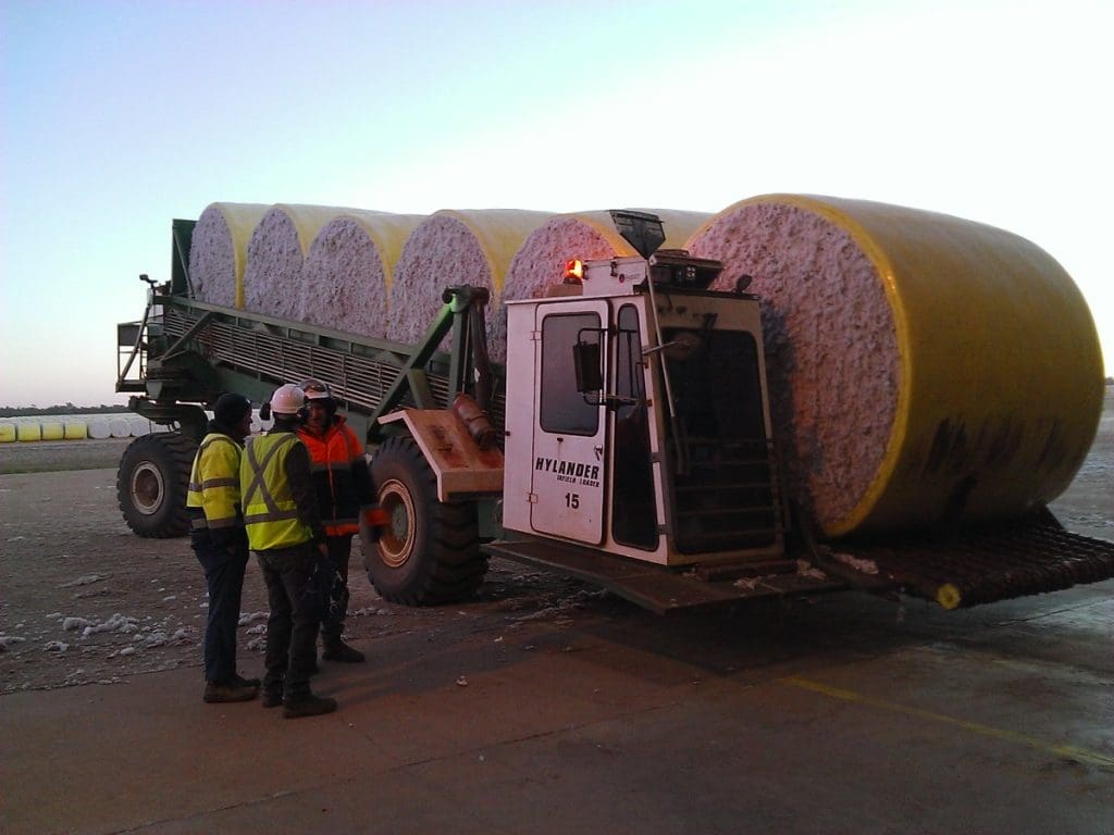 China impasse pressures cottonseed prices as gins fire up Grain Central