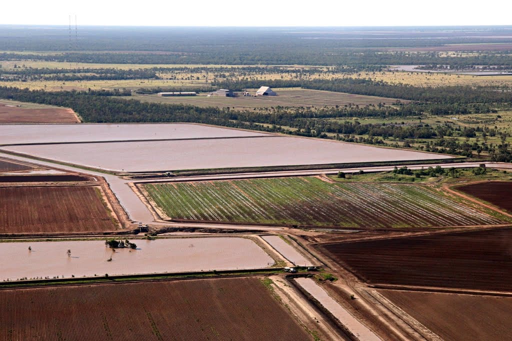 Agricultural bodies slam Senate’s MurrayDarling decision Grain Central
