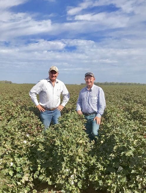 Cotton grower of year achievements on show in the Riverina - Grain Central